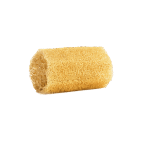 Loofah Sponge