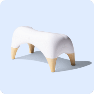TUSHY Ottoman - Toilet Stool